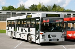 KS-E 6808 Regiobus Uhlendorff ausgemustert